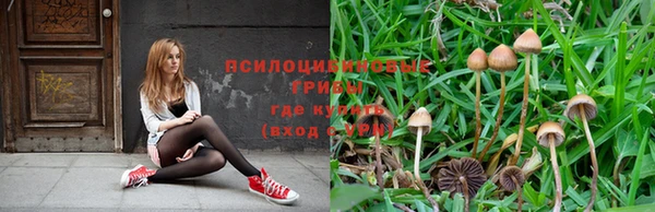 МДПВ Магас