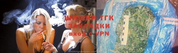 индика Домодедово